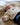 Cub Jumper | Ivory